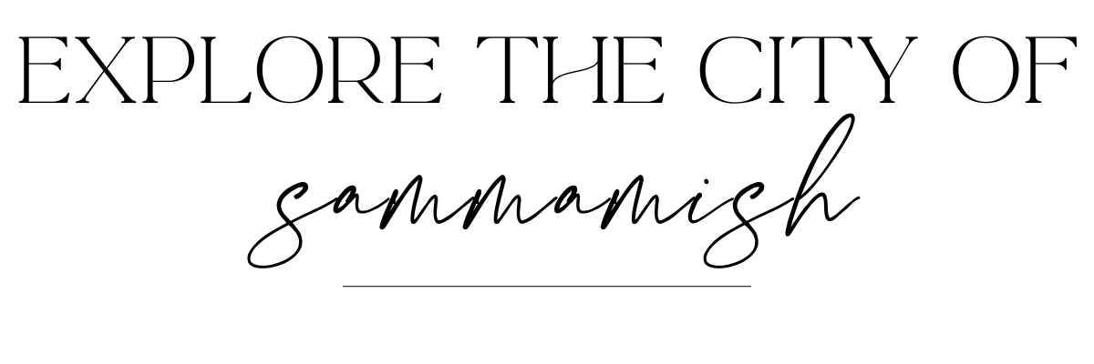 Chezon Website Banners (1200 x 400 px) (11)